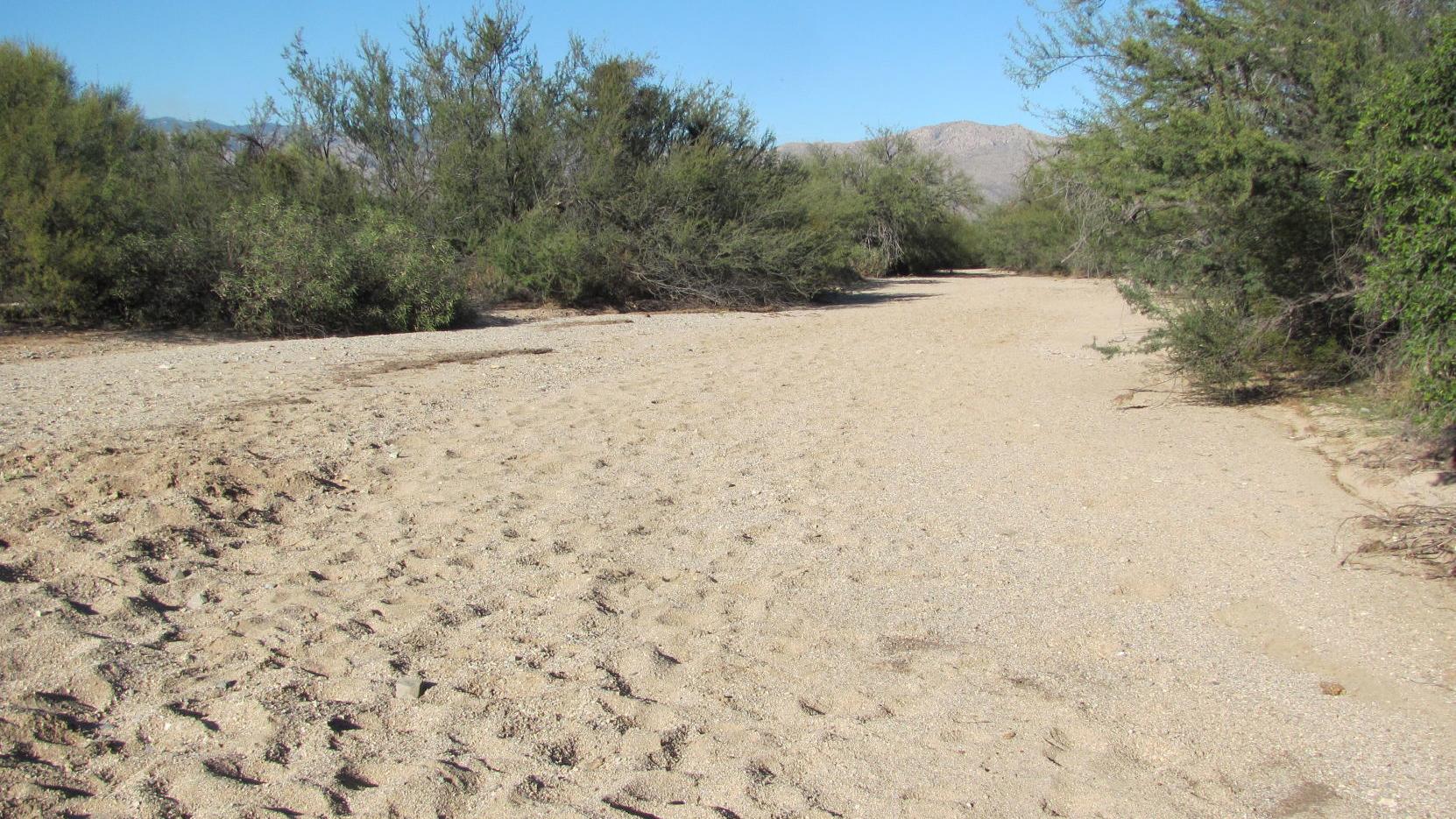 Popular Saguaro National Park East trail will be closed during 2-month project to improve accessibility